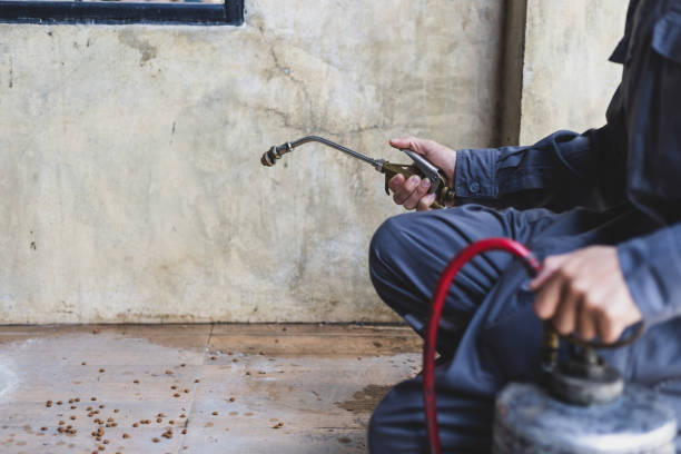 Best Pest Prevention Services  in Chicago Ridge, IL
